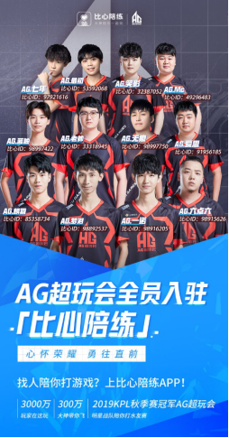 的合同细则